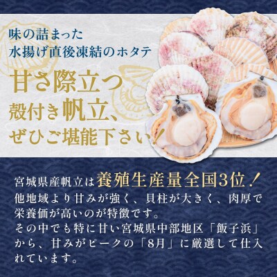 【冷凍・生食用】 殻付き帆立 30枚 帆立 ホタテ ほたて 殻付き 生食 生食用 肉厚