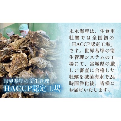 宮城県産 生食用牡蠣 一年子生カキ むき身 500g かき カキ 剥き身 生牡蠣 プリプリ 濃厚