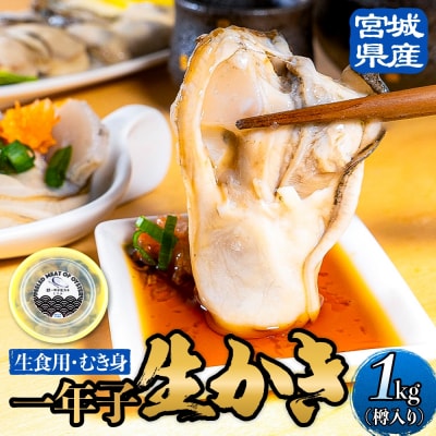 宮城県産 生食用牡蠣 一年子生カキ むき身 1kg かき カキ 剥き身 生牡蠣 プリプリ 濃厚