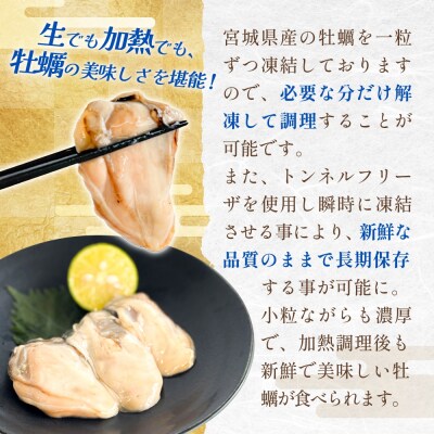 【訳あり】牡蠣 むき身 生食用 冷凍 500g×1p 宮城県産 サイズ不揃い 解凍してすぐ使え