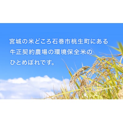 R7年産 ひとめぼれ 5kg 米 お米 ご飯 ヒトメボレ 石巻市
