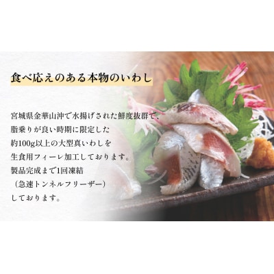 大とろいわし さんま 欲張り セット フィーレ フィレ イワシ いわし 鰯 秋刀魚 サンマ 魚介