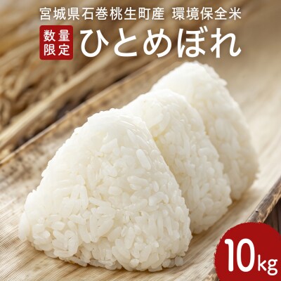 米 新米 ひとめぼれ 環境保全米 10kg お米 ご飯 こめ コメ ヒトメボレ 宮城県 石巻市 