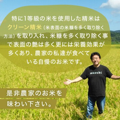 米 新米 ひとめぼれ 環境保全米 10kg お米 ご飯 こめ コメ ヒトメボレ 宮城県 石巻市 