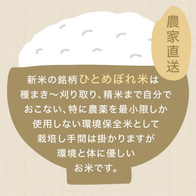 米 新米 ひとめぼれ 環境保全米 10kg お米 ご飯 こめ コメ ヒトメボレ 宮城県 石巻市 