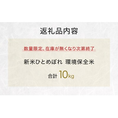 米 新米 ひとめぼれ 環境保全米 10kg お米 ご飯 こめ コメ ヒトメボレ 宮城県 石巻市 