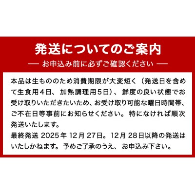 牡蠣 宮城県産 生かき むき身 中粒 生牡蠣 生食 加熱 カキ 魚介 魚介類