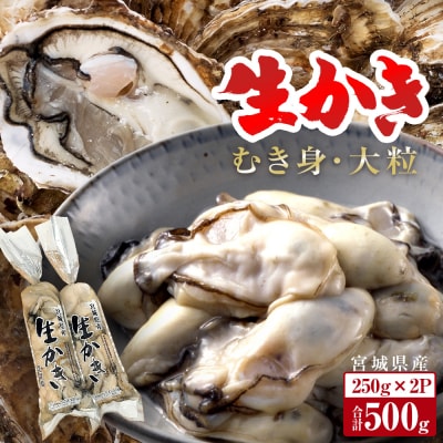 牡蠣 宮城県産 生かき むき身 大粒 生牡蠣 生食 加熱 カキ 魚介 魚介類