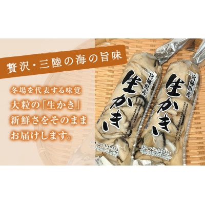 牡蠣 宮城県産 生かき むき身 大粒 生牡蠣 生食 加熱 カキ 魚介 魚介類