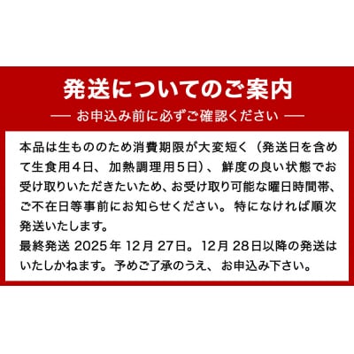 牡蠣 宮城県産 生かき むき身 大粒 生牡蠣 生食 加熱 カキ 魚介 魚介類