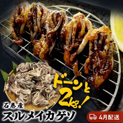 訳あり 石巻産スルメイカゲソ 2kg 4月配送 冷凍 国産 いか 下足 おつまみ ゲソ天 おかず