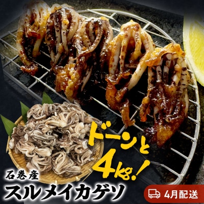 訳あり 石巻産スルメイカゲソ 4kg 4月配送 冷凍 国産 いか 下足 おつまみ ゲソ天 おかず