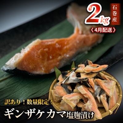 【訳あり/限定】4月配送 ギンザケカマ 塩麹漬け 石巻産2kg 銀鮭 鮭カマ さけカマ ギンザケカマ