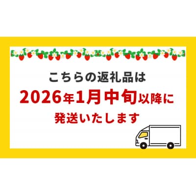 【2026年1月中旬より発送開始】 いちご 恋みのり とちおとめ 250g×4パック ギフト 苺