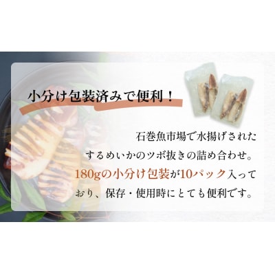 訳あり 石巻産 柔らか するめいか ツボ抜き 180g × 10P