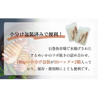 訳あり 石巻産 柔らか するめいか ツボ抜き 180g × 20P