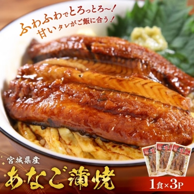 宮城県産 あなご 蒲焼 (1食) 3パック入 冷凍 小分け 穴子 アナゴ 蒲焼き 魚 お魚 丼 寿司