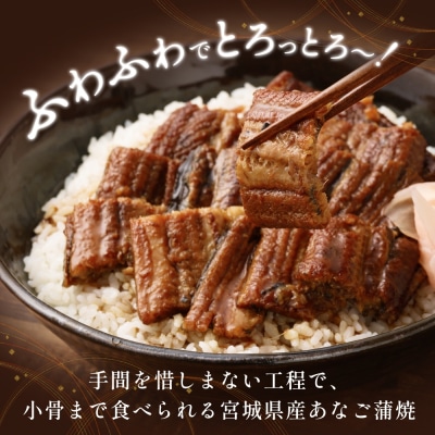 宮城県産 あなご 蒲焼 (1食) 3パック入 冷凍 小分け 穴子 アナゴ 蒲焼き 魚 お魚 丼 寿司