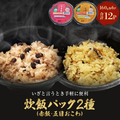 パックご飯2種セット 160g 12個 赤飯 五目ごはん ご飯パック ササニシキ みやこがね