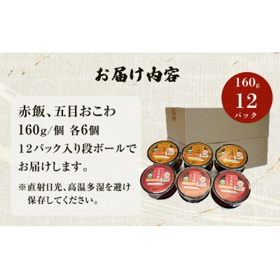 パックご飯2種セット 160g 12個 赤飯 五目ごはん ご飯パック ササニシキ みやこがね