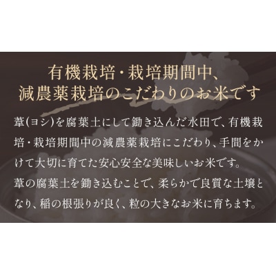 令和7年産 つや姫 精米 10kg(5kg×2)単品