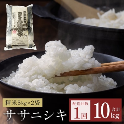 令和7年産 ササニシキ 精米 10kg(5kg×2)単品