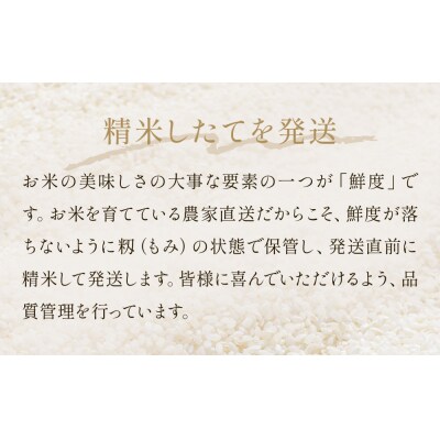 令和7年産 ひとめぼれ 精米 10kg(5kg×2)単品