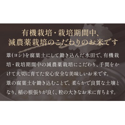 令和7年産 ひとめぼれ 精米 10kg(5kg×2)単品