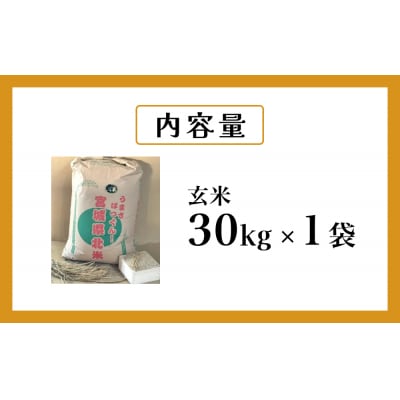 米 つや姫 令和7年産 玄米 30kg 宮城県産 石巻市 こめ コメ お米 ツヤ姫 ご飯 防災減災