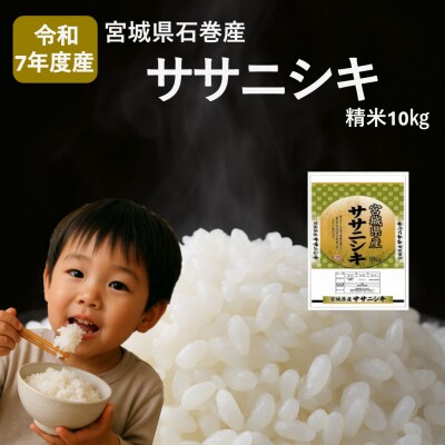 令和7年度産 ササニシキ精米10kg お米 米 ごはん ご飯 飯 一等精米 単一銘柄米  防災減災