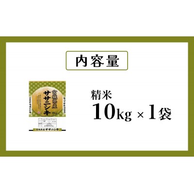 令和7年度産 ササニシキ精米10kg お米 米 ごはん ご飯 飯 一等精米 単一銘柄米  防災減災