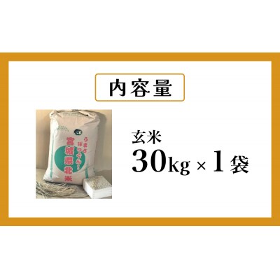 米 令和7年度産 ササニシキ 玄米 30kg お米 ごはん ご飯 単一銘柄米 家庭用 防災減災