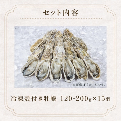 宮城県産 冷凍 殻付き 牡蠣 15個 生食可 小分け カキ かき 生かき 生牡蠣 海鮮 防災減災