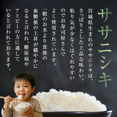 毎月定期便　ササニシキ精米5kg　令和7年度産　全3回