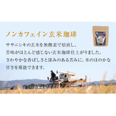 玄米珈琲ティーバッグ 4.5g×8包入り 3袋