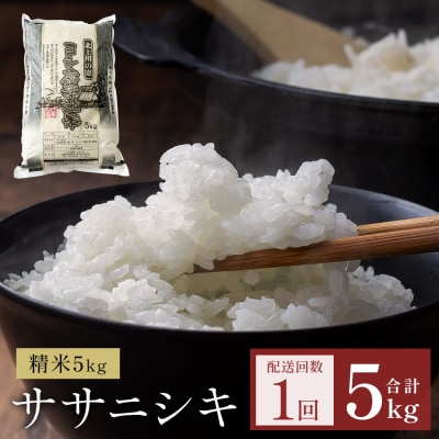 米 令和7年産 ササニシキ 精米 5kg 単品 こめ コメ お米 ご飯 白米 防災減災
