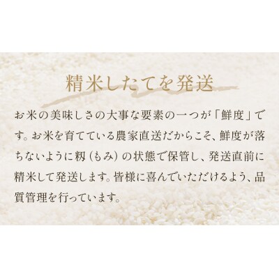 令和7年産 ひとめぼれ 精米 10kg(5kg×2)単品 防災減災