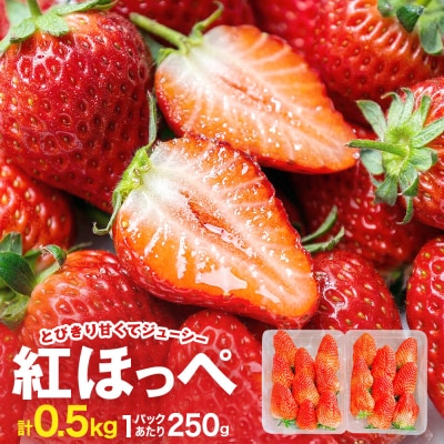 《数量限定》 ジューシー 紅ほっぺ 500g (250g × 2) 苺 いちご イチゴ ストロベリー
