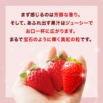 《数量限定》 ジューシー 紅ほっぺ 1kg ( 250g × 4) 苺 いちご イチゴ ストロベリー