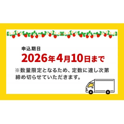 《数量限定》 ジューシー 紅ほっぺ 1kg ( 250g × 4) 苺 いちご イチゴ ストロベリー