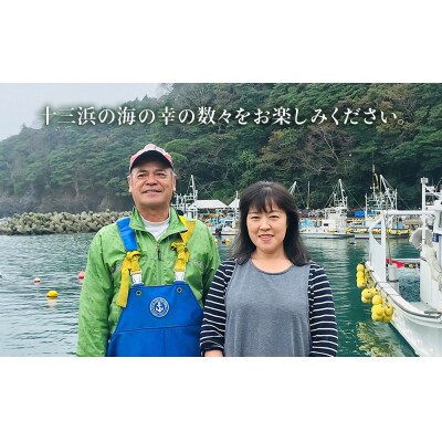 マルイチ西條水産の 塩蔵わかめ 5袋 セット わかめ ワカメ 肉厚 十三浜産 海藻 海鮮 海産物 