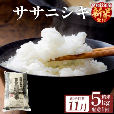 【11月配送】 <先行受付> 米 令和7年産 ササニシキ 精米 5kg 単品 新米 こめ コメ お米
