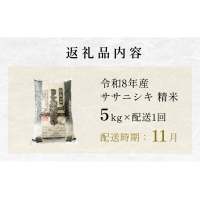 【11月配送】 <先行受付> 米 令和7年産 ササニシキ 精米 5kg 単品 新米 こめ コメ お米