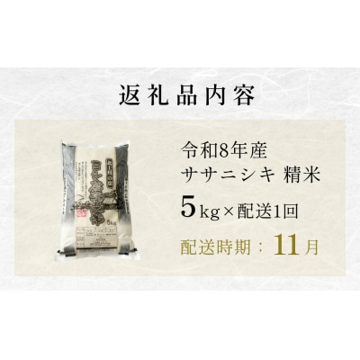 【11月配送】 <先行受付> 米 令和7年産 ササニシキ 精米 5kg 単品 新米 こめ コメ お米