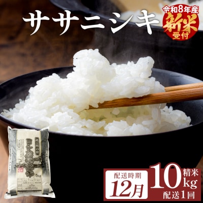 【12月配送】 <先行受付> 令和8年産 ササニシキ 精米 10kg (5kg×2) 単品 新米