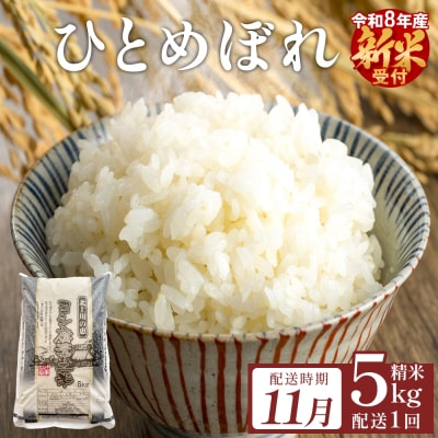 【11月配送】 <先行受付> 米 令和8年産 ひとめぼれ 精米 5kg 単品 こめ コメ お米 ご飯