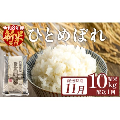 【11月配送】 <先行受付> 令和8年産 ひとめぼれ 精米 10kg (5kg×2) 単品 新米