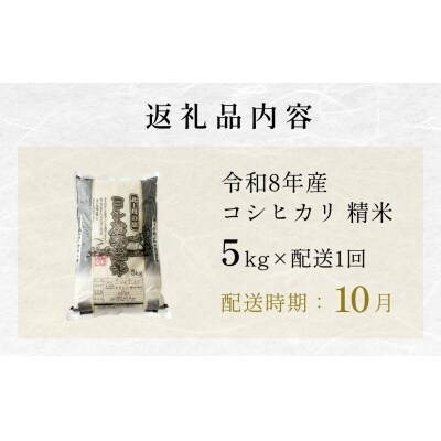 【10月配送】 <先行受付> 米 令和8年産 コシヒカリ 精米 5kg 単品 新米 こめ コメ お米