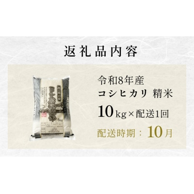 【10月配送】 <先行受付> 米 令和8年産 コシヒカリ 精米 10kg 単品 新米 こめ コメ