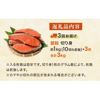 【定期便】 訳あり 定塩銀鮭 切り身 合計 3kg 約1kg ( 10切れ 前後 ) 3回配送